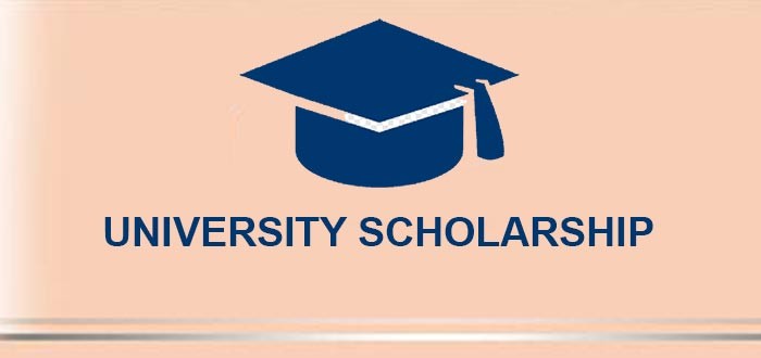 University Scholarship in India